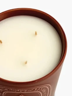 DIPTYQUE Candela|Profumi Di Nicchia<Ambre candela