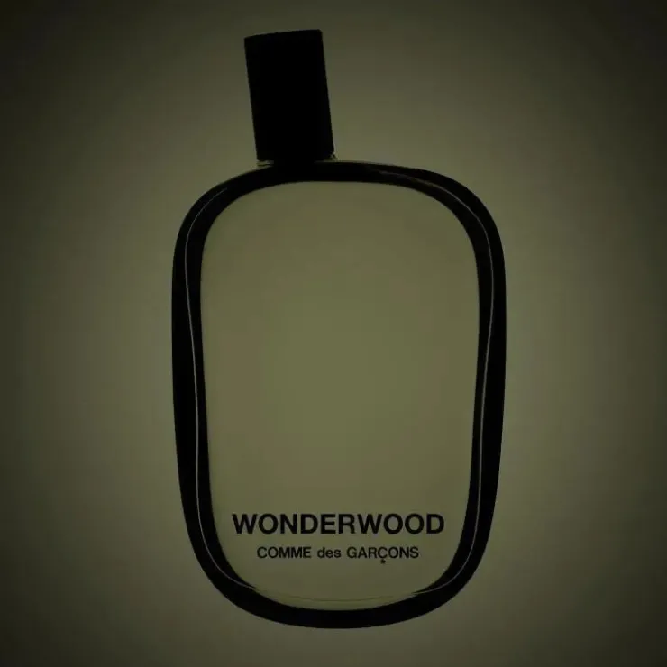 Comme des Garcons Samples<Wonderwood - Alla Violetta Boutique
