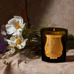 TRUDON Candela<CYRNOS Candela - - Alla Violetta Boutique.com