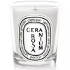 DIPTYQUE Candela<Geranium Rosa Candela 190 gr - Alla Violetta Boutique