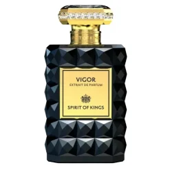 SPIRIT OF KINGS Labdano|Profumi Di Lusso<Vigor